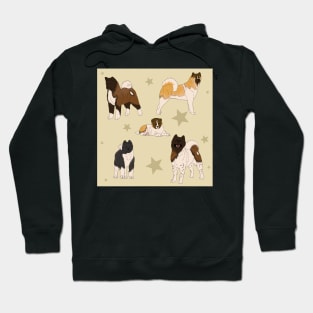 Akita American Pattern Creme Hoodie